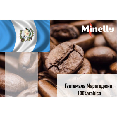 Гватемала Марагоджип