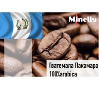 Гватемала Пакамара