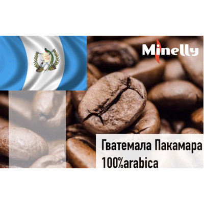 Гватемала Пакамара
