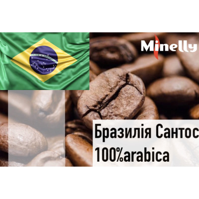 Бразилія Сантос